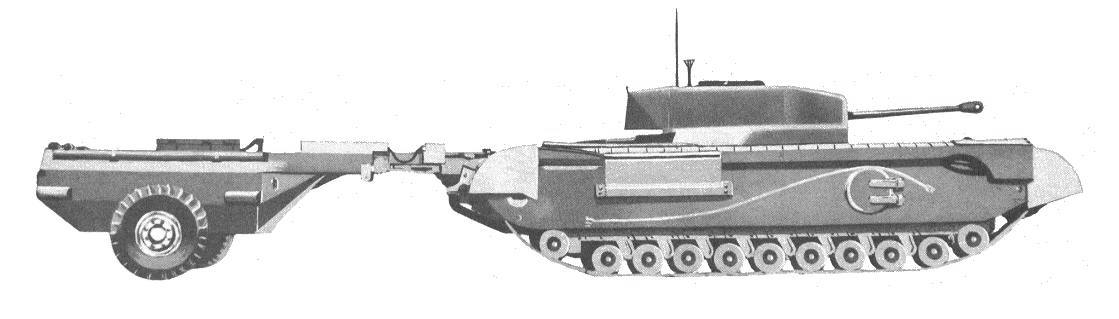 Crocodile