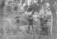 North Shore Regiment on patrol.