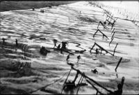 Reconnaissance photo of Normandy beaches.